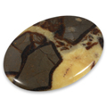 Septarian Palm stones